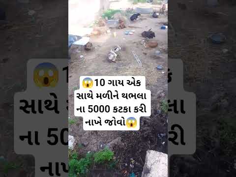 10 เชเชพเชฏ เชเช เชธเชพเชฅเซ เชฎเชณเซเชจเซ เชฅเชญเชฒเชพ เชจเชพ 5000 เชเชเชเชพ เชเชฐเซ เชจเชพเชเซ เชเซเชตเซ๐ฑ#trading #shortvideos #viralvideos