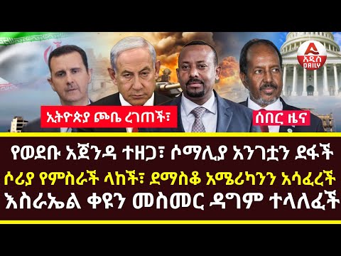 Addis Daily News :ኢትዮጵያ ጮቤ ረገጠች፣ የወደቡ አጀንዳ ተዘጋ፣ ሶማሊያ አንገቷን ደፋች |ሶሪያ የምስራች ላከች፣ ደማስቆ አሜሪካንን አሳፈረች