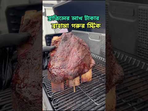 ব্রাজিলের লাখ টাকার ব্রাহমা গরুর স্টিক।🍖😯 #ব্রাহমা #গরুর_মাংস #brisket