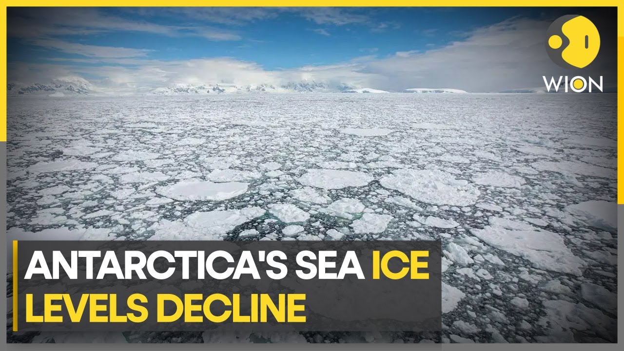 Antarctica’s Sea Ice at Record Low as Effects of Climate Change Take Shape