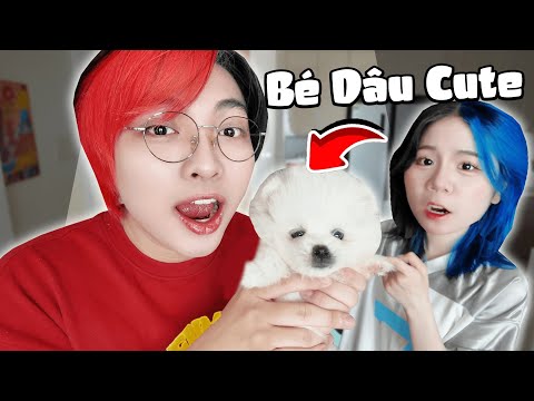 Kairon Và Simmy Nhận Nuôi THÀNH VIÊN MỚI | BÉ DÂU VỀ NHÀ VỚI KAI SIM 🍓