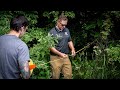 Invasive Species Management and Impact