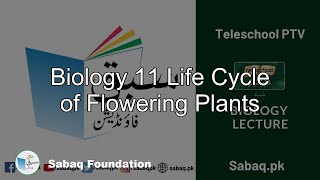 Biology 11 Life Cycle of Flowering Plants
