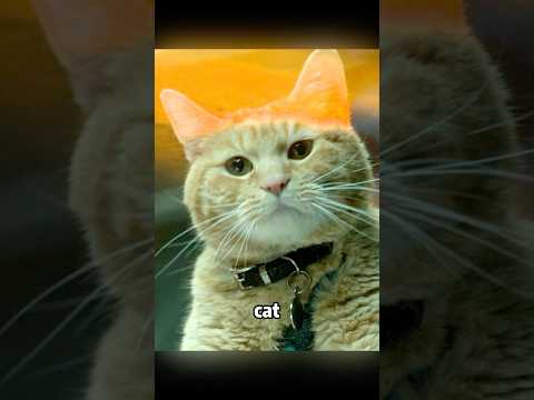 Who can resist a cat that can help you eat up the bad guys? #shorts
