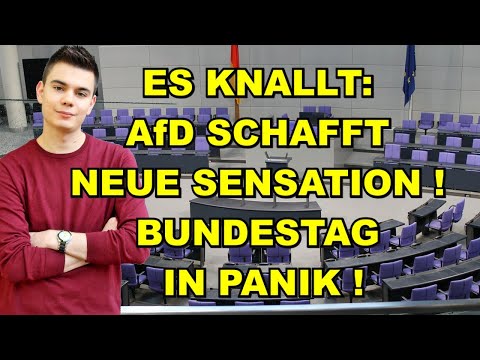 NEUE AfD-SENSATION! BUNDESTAG IN PANIK!