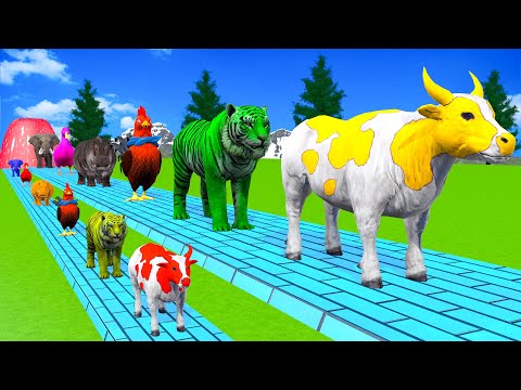 Paint & Animals Cow,Gorrila,Elephant,Sheep,Dog,Tiger,Lion, Fountain Crossing Transformation Cartoon