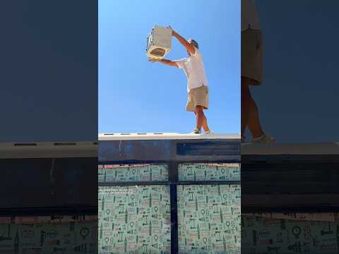 LE TIRO LA TELEVISIÓN A ROCKY