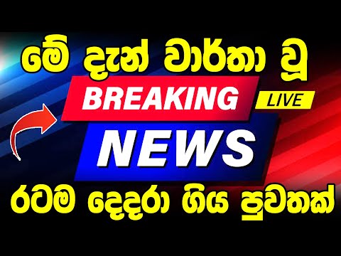 hiru sinhala news today 6 55 pm |  hiru news sinhala  today  | BREAKING NEWS  here is Governm