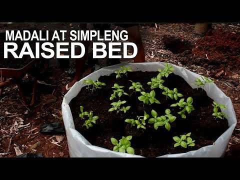 MADALI AT SIMPLENG RAISED BED