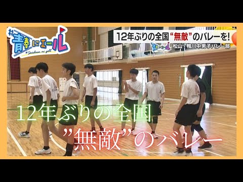 【#青春にエール2025】12年ぶりの全中出場　目指すは「無敵」　～松山市立鴨川中学校男子バレーボール部