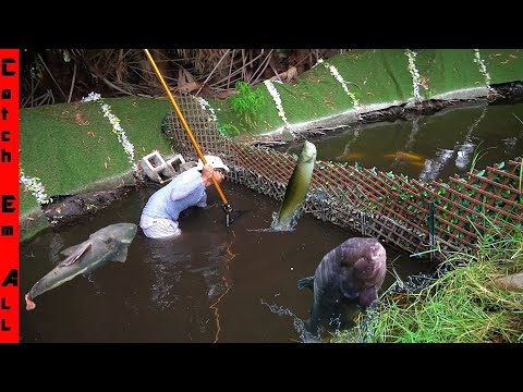 I SHOULD NOT have GONE in the WATER with MASSIVE FISH!