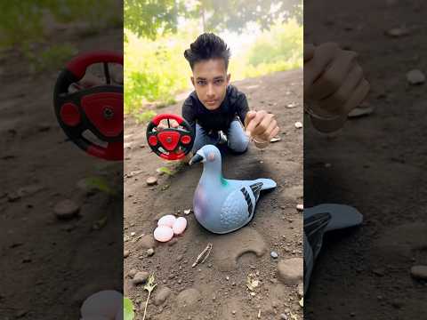 Remote control Birds Pigeon Dakho 🥹