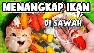 MENANGKAP IKAN WARNA WARNI DI SAWAH 🐟🐠🐬 