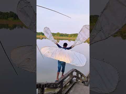 প্রতিভাটা যদি অন্য জায়গার হইতো //#comedy #funny #reelsvideo #tranding #reels