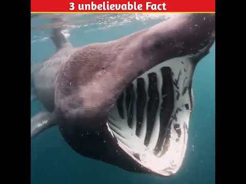 4 unbelievable facts || #shorts