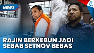 RAJIN BERKEBUN, Setya Novanto Bisa Bebas Bersyarat seusai Korupsi Rp2,3 Trilun, Ini Kata Ditjenpas