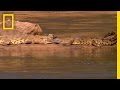 Malawi and the Nile Crocodile: Challenges and Solutions