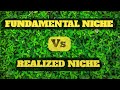 Fundamental and Realized Niches