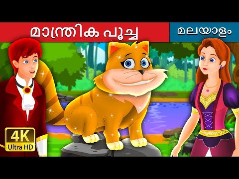 മാന്ത്രിക പൂച്ച  | The Magical Kitty Story in Malayalam | Malayalam Cartoon | @MalayalamFairyTales