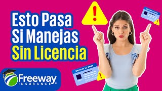 ¿Seguro de Auto Sin Licencia en USA? 🤔 Esto es lo que Debes Saber🚗