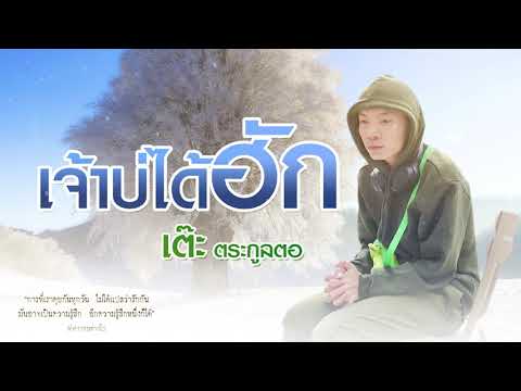 เจ้าบ่ได้ฮัก - เต๊ะ ตระกูลตอ ( Acoustic )
