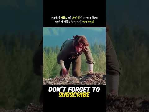 ladka bhediye ke muh me haath dal deta