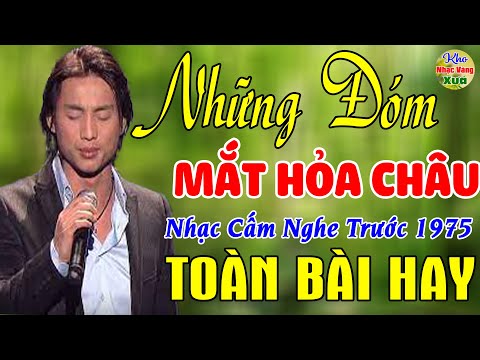 Những Đóm Mắt Hỏa Châu, Bông Cỏ May ✨44 Bài Nhạc Vàng Xưa KHÔNG CÓ QUẢNG CÁO Dễ Ngủ Ngọt Lịm Tim