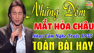 Những Đóm Mắt Hỏa Châu, Bông Cỏ May ✨44 Bài Nhạc Vàng Xưa KHÔNG CÓ QUẢNG CÁO Dễ Ngủ Ngọt Lịm Tim