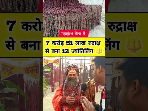 महाकुंभ मेला में 7 करोड़ 51 लाख रुद्राक्ष से बना 12 ज्योतिर्लिंग। #mahakumbh #prayagrajkumbhmela