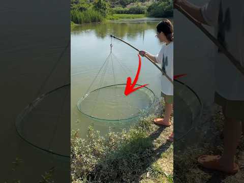 the guy found a new way to catch fish #malayalam #fish