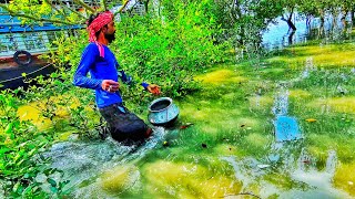 আজকের লোকালের জঙ্গলে খুব মজা করে কাঁকড়া ধরলাম।@naturalsundarban