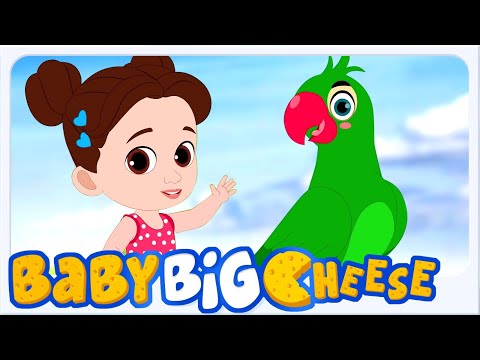 Main Tota Cartoon, मैं तोता, Best Hindi Rhymes and Songs for Kids, Nursery Poem