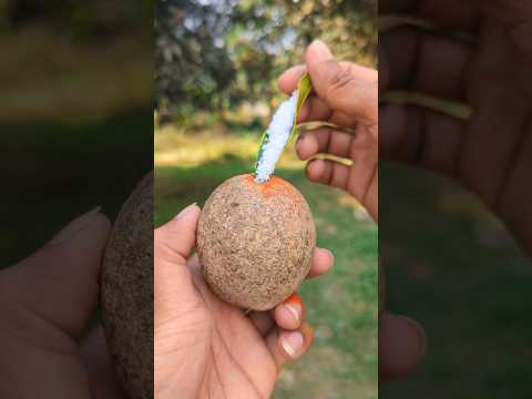 Testy Masala Woodapple (Kodbel) π€€ | #shorts #food #masala #woodapple