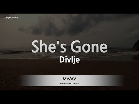 Divlje Jagode-She’s Gone (Melody) [ZZang KARAOKE]