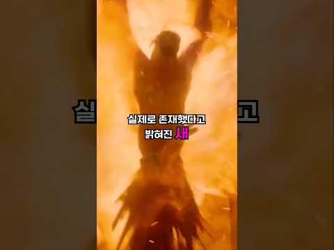 전설 속 동물로 여겨졌지만 실제로 존재했다고 밝혀진 새