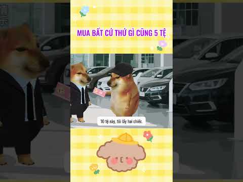 Mua bất cứ thứ gì cũng 5 tệ | Cheems thiên tài #giaitri #cheems