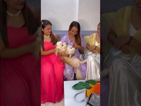 Ye bhi toh humari family h or humara bhai bhi #viralvideo #comedy #funny #bhai #doglovers