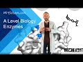 Enzyme Activity and Kinetics Concepts