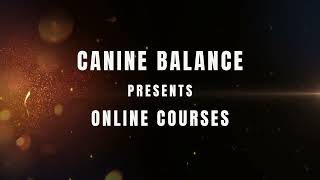 Canine Balance Online Courses