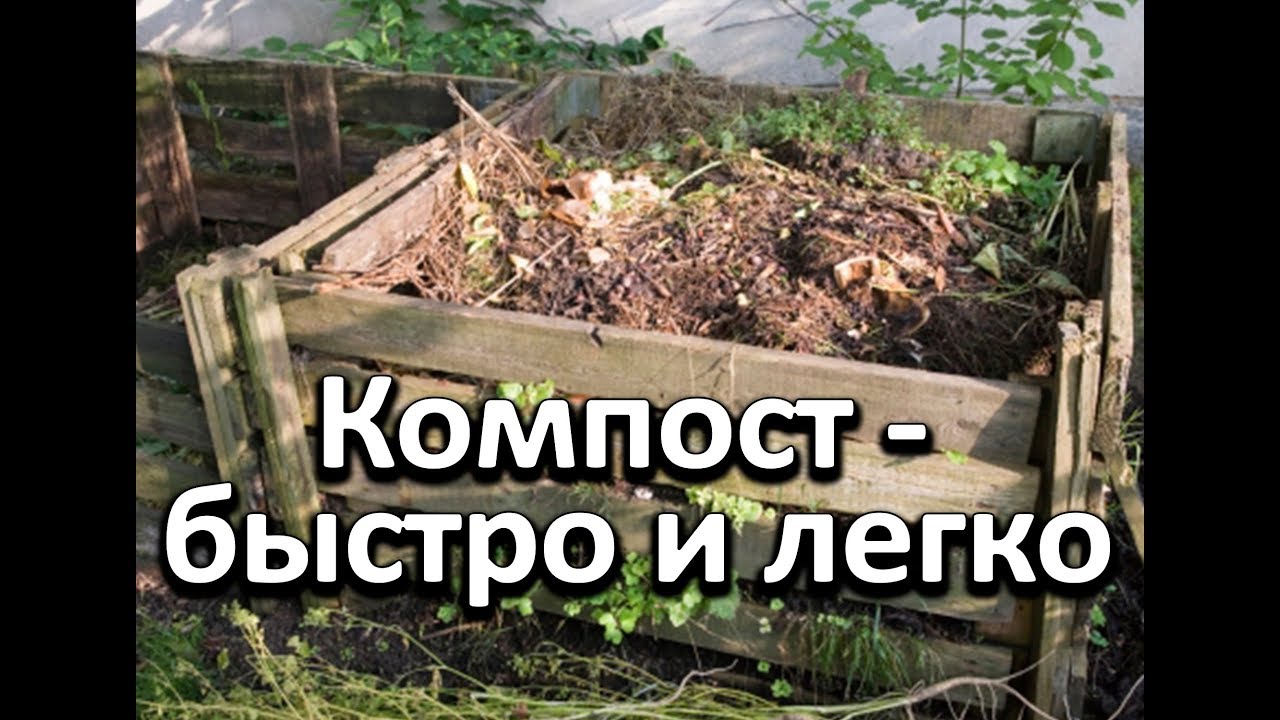 Простой и легкий способ получения питательного компоста осенью