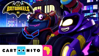 Friendship and Teamwork Compilation | Batwheels | Cartoonito Africa