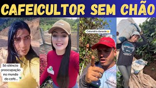 PRODUTORES de CAFÉ LASCADOS! O preço despencou e o apanhador saiu rindo!