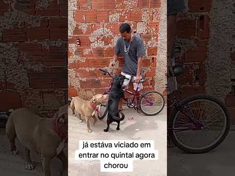 Notícias de um jeito diferente simulação