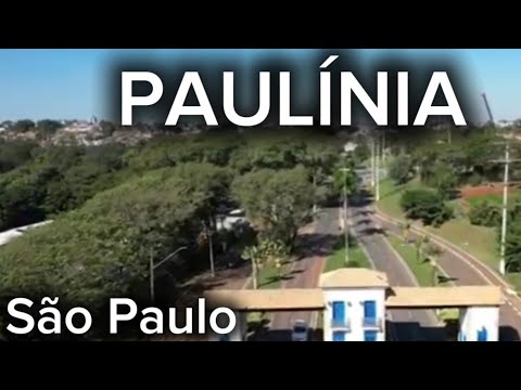 PAULÍNIA | SP, Conheça a cidade de Paulínia em São Paulo 2025