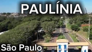 PAULÍNIA | SP, Conheça a cidade de Paulínia em São Paulo 2025
