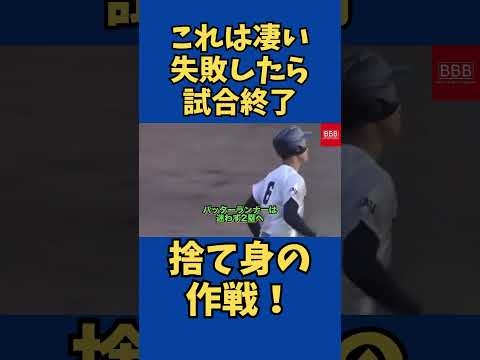 これは凄い作戦！#shorts #baseball #野球