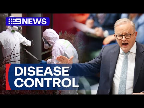 YouTube video thumbnail: Australia to Have a Permanent Centre for Disease Control