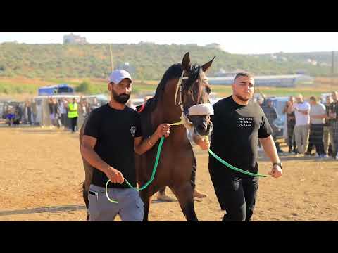 اشواط ميدان فلسطين - شوط جروب 1