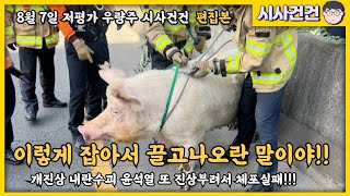 윤석열 체포 실패! 개진상 윤석열을 위해서 민주당은 빠르게 법을 만들라! 절대 윤석열 체포를 포기해서는 안된다!