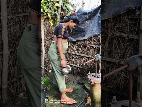 #trendingshorts #shortvideo